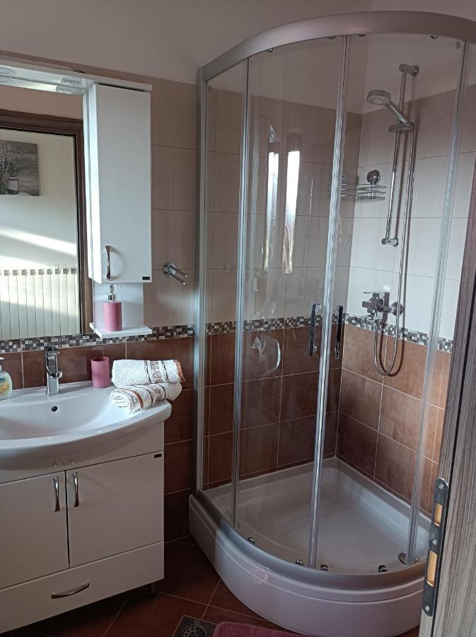 Apartman Biba Labin  Extérieur photo